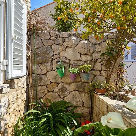 Argosy Near Old Town With Sea View And Free Parking Apartment *